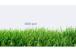 DDD Juni 2022 - Blind Tasting
